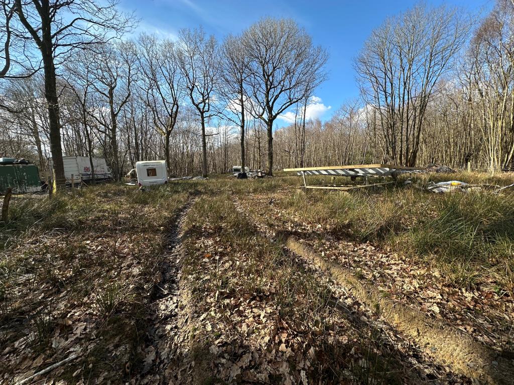 Lot: 105 - 0.69 ACRES OF WOODLAND WITH APPROVED LAWFUL DEVELOPMENT CERTIFICATE - Woodland with fencing